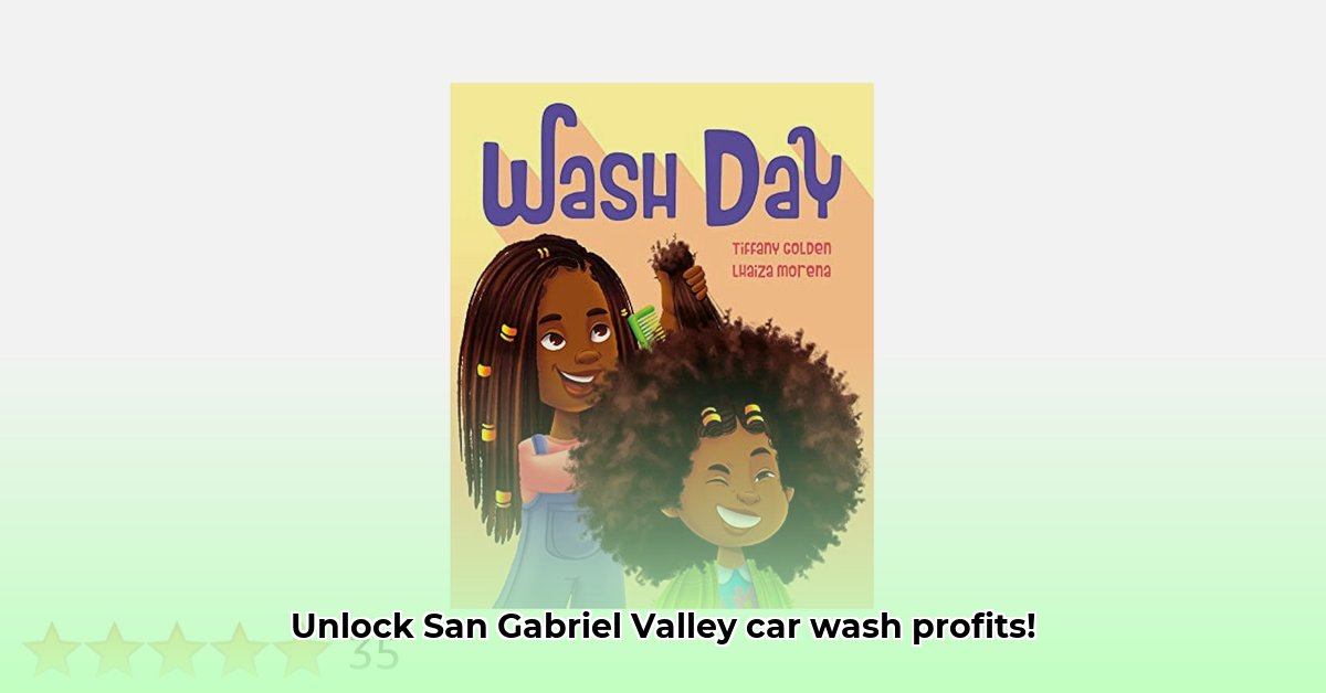 day-wash